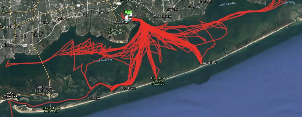 We did lots of local cruising on the bay!