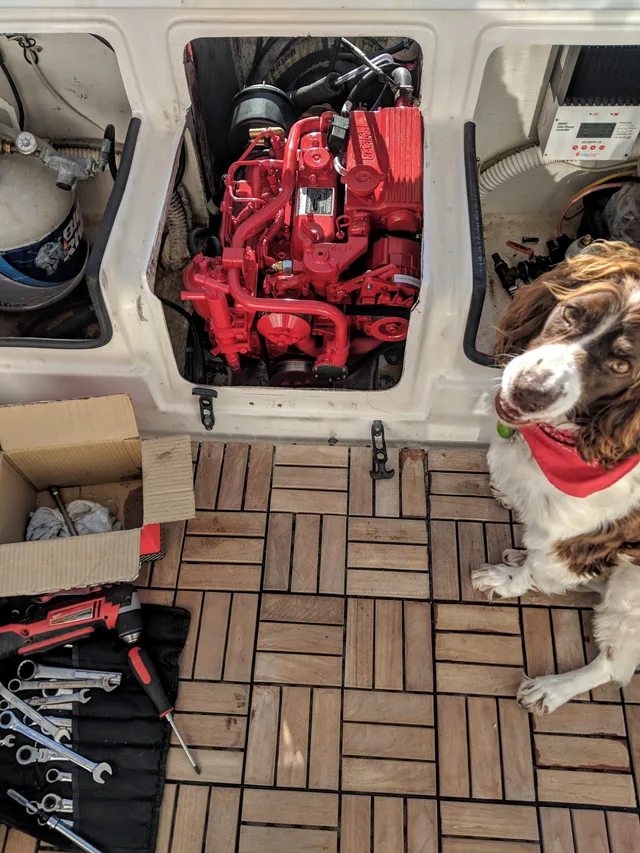 The Beta Marine engine aboard Mavis after the 2018 repower