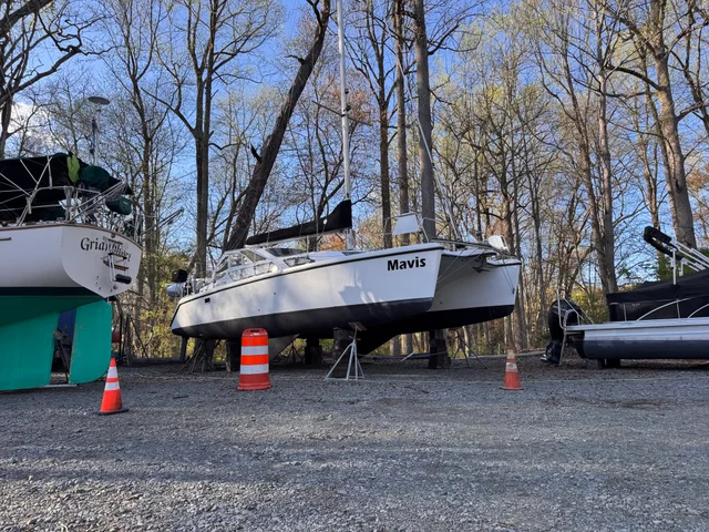 Mavis in the boatyard beneath the spring trees